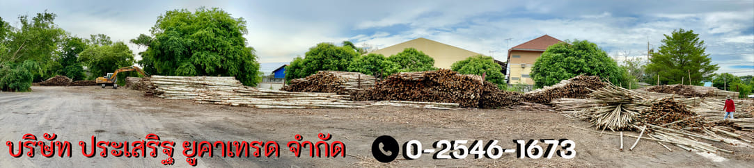รับซื้อเสาไม้ยูคา รังสิต-องครักษ์ ธัญบุรี ปทุมธานี
