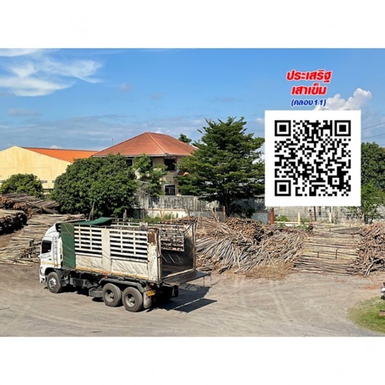 เสาเข็มไม้ยูคา ประเสริฐยูคาเทรด - ร้านขายไม้ยูคาลิปตัส